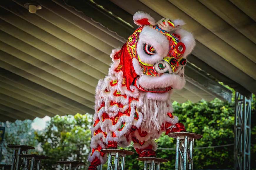 Dịch vụ múa lân mai hoa thung