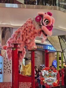 Thuê múa lân khai trương Thanh Xuân tại Đức Anh Đường